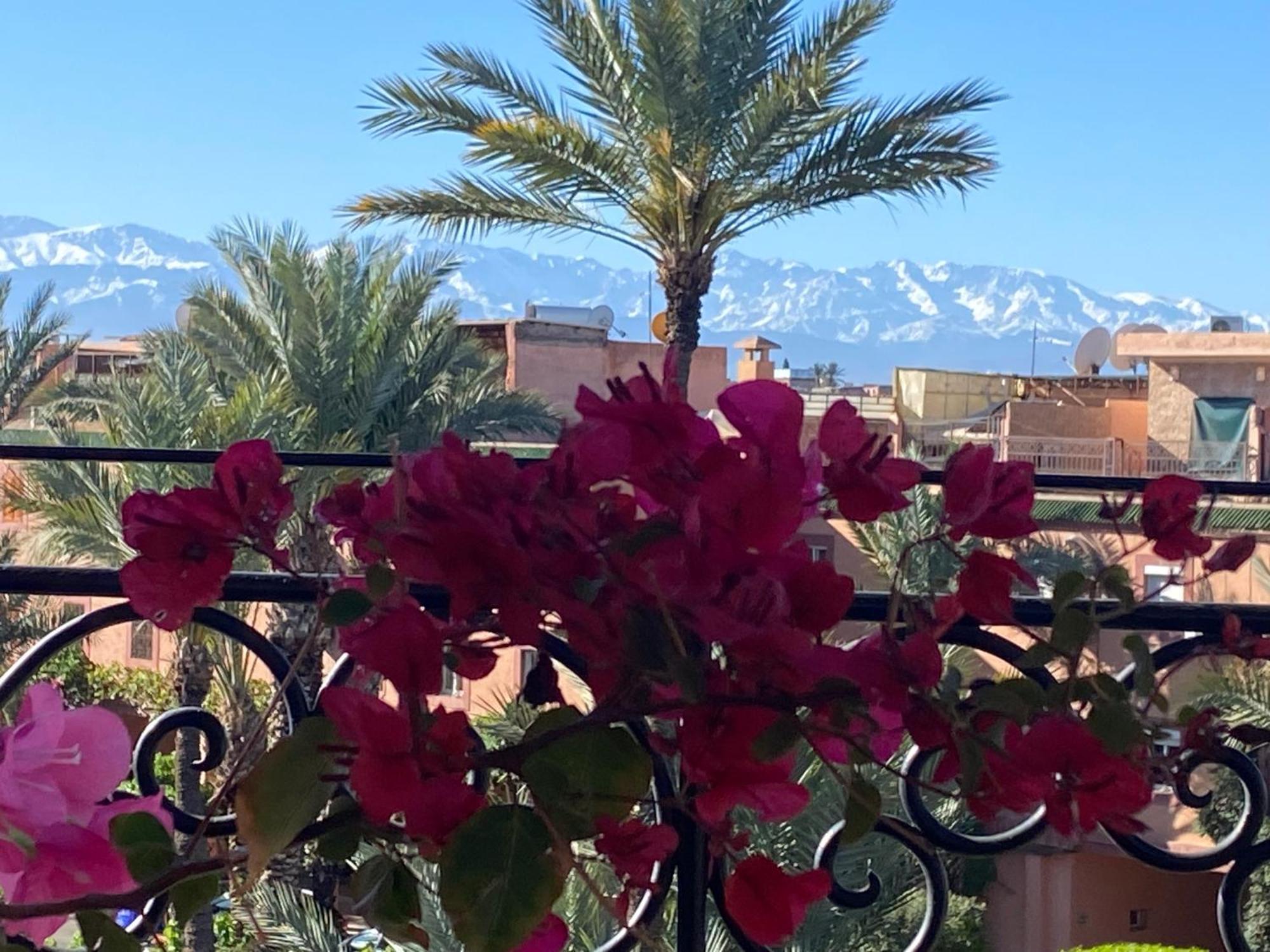 Riad Palmier Fleuri مراكش المظهر الخارجي الصورة