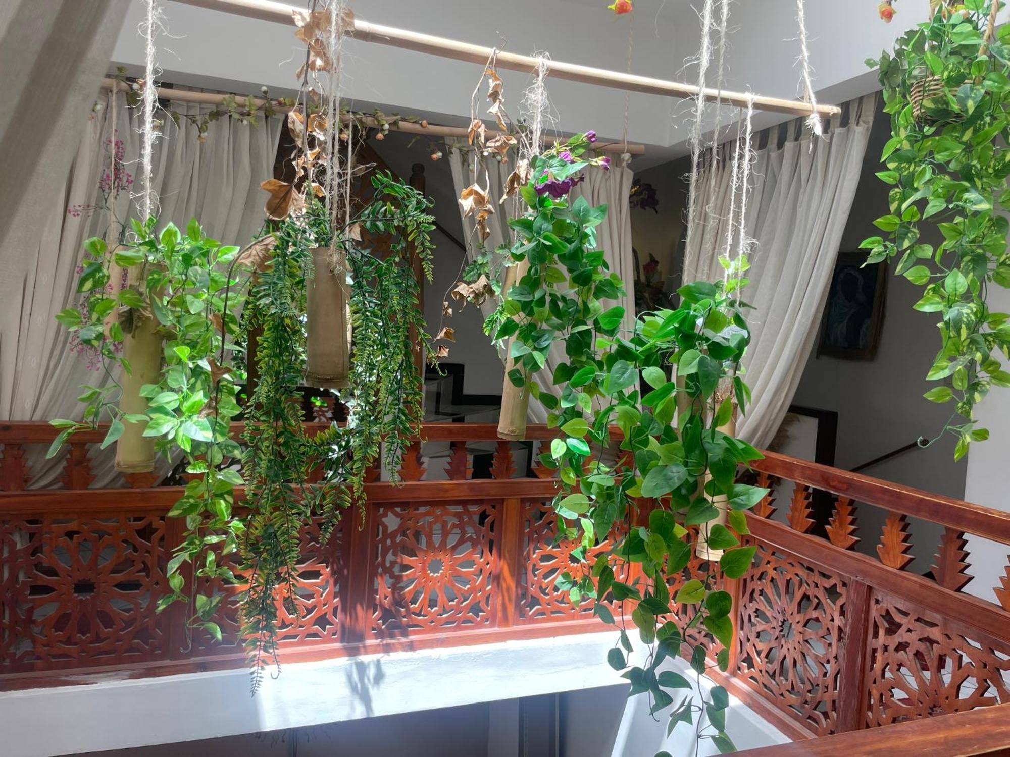 Riad Palmier Fleuri مراكش المظهر الخارجي الصورة