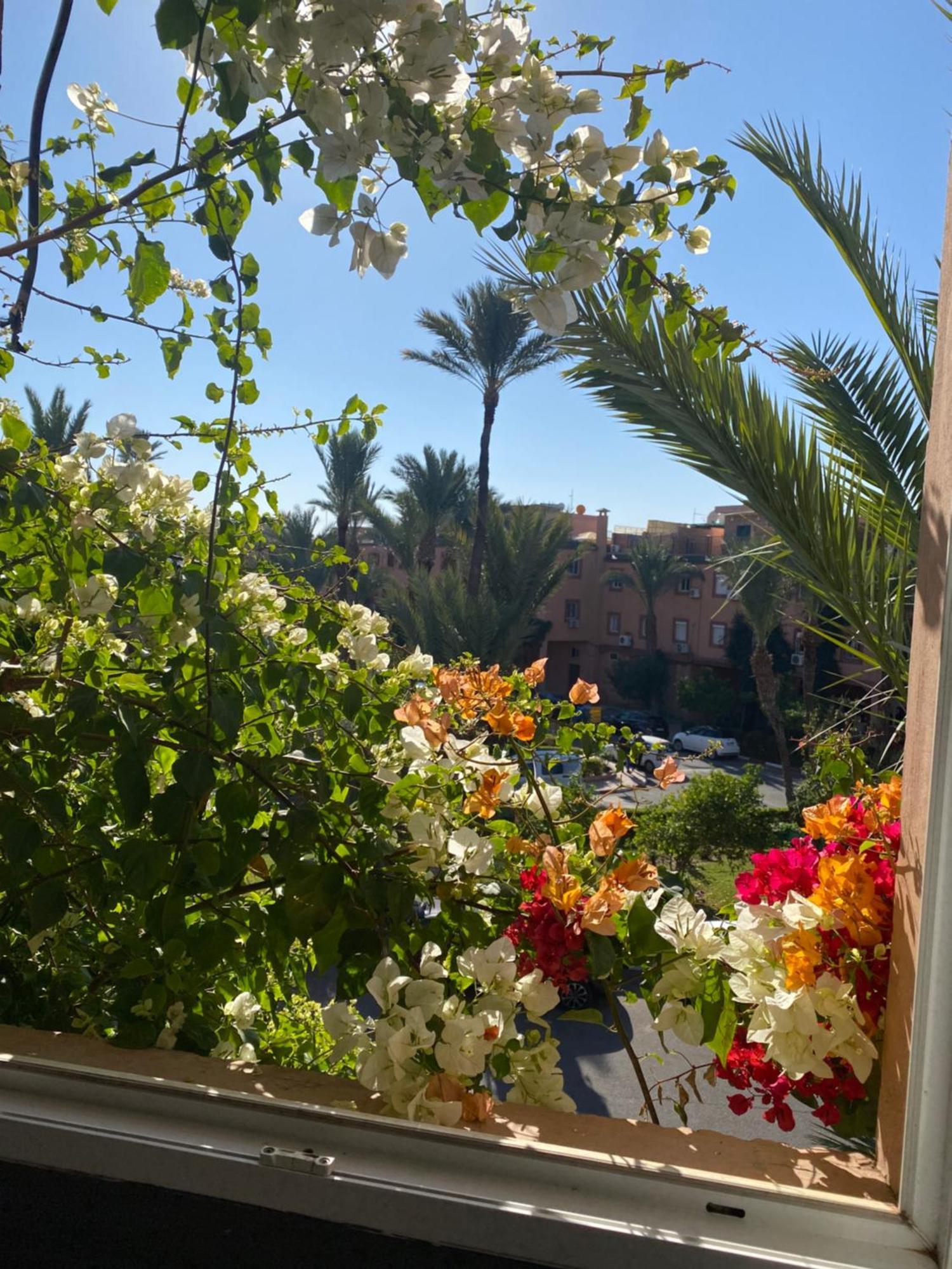 Riad Palmier Fleuri مراكش المظهر الخارجي الصورة
