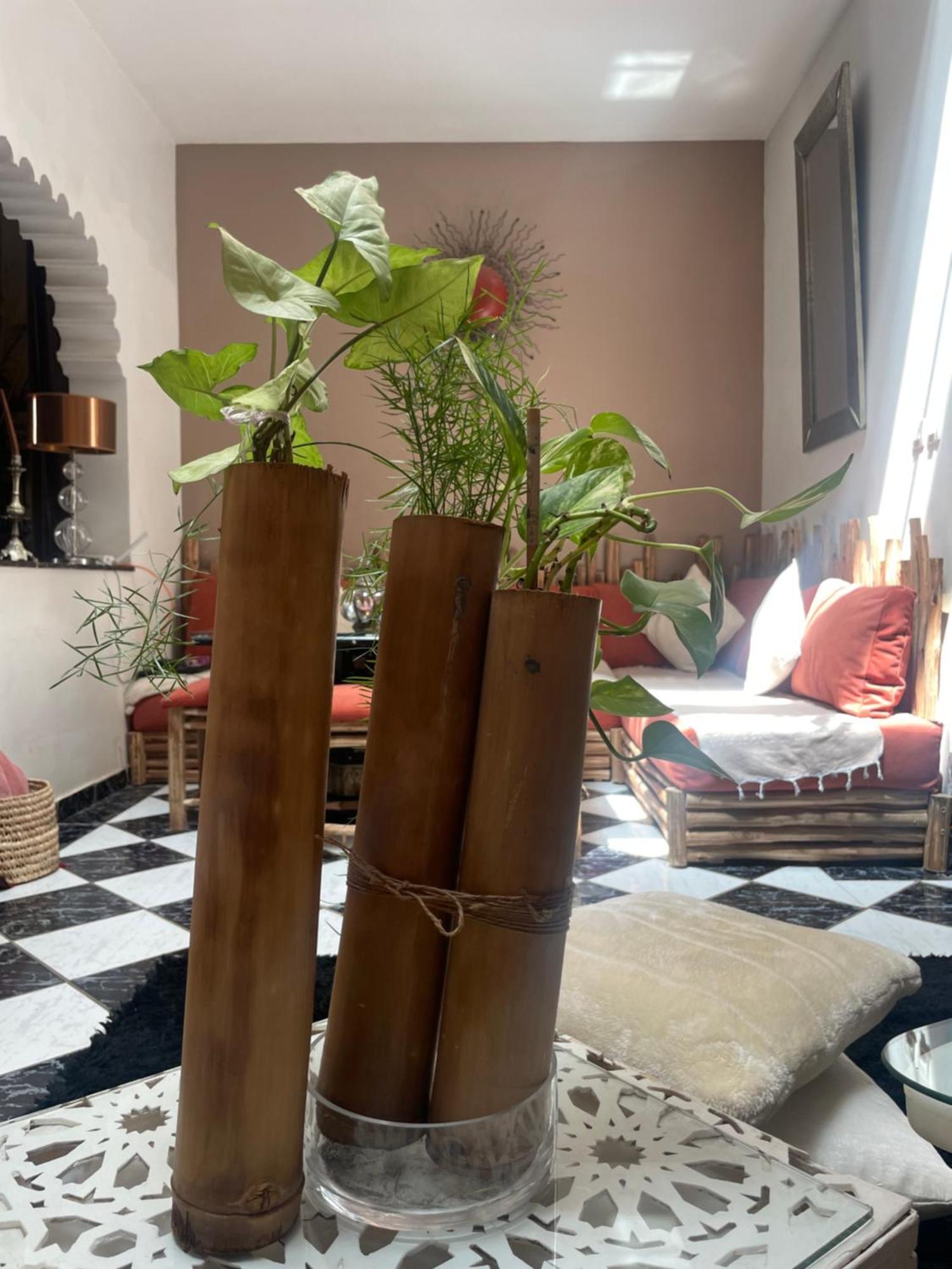 Riad Palmier Fleuri مراكش المظهر الخارجي الصورة